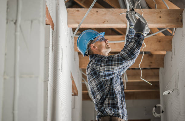 Best Licensed Electrician  in Holmes Beach, FL