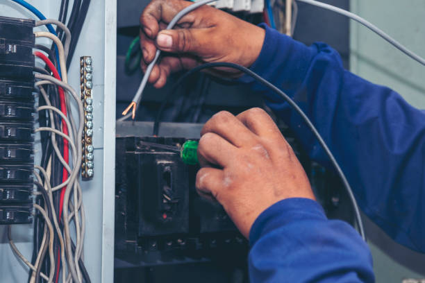 Best Electric Panel Repair  in Holmes Beach, FL